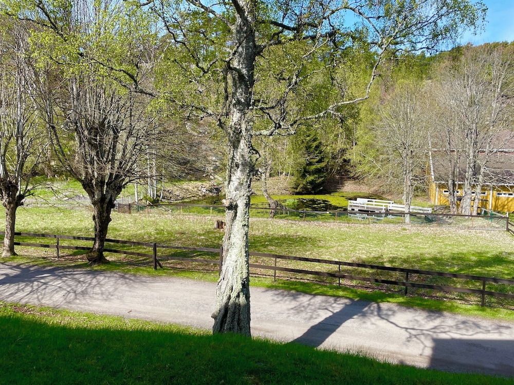 Superior Dobbeltrom med balkong - Photo 5