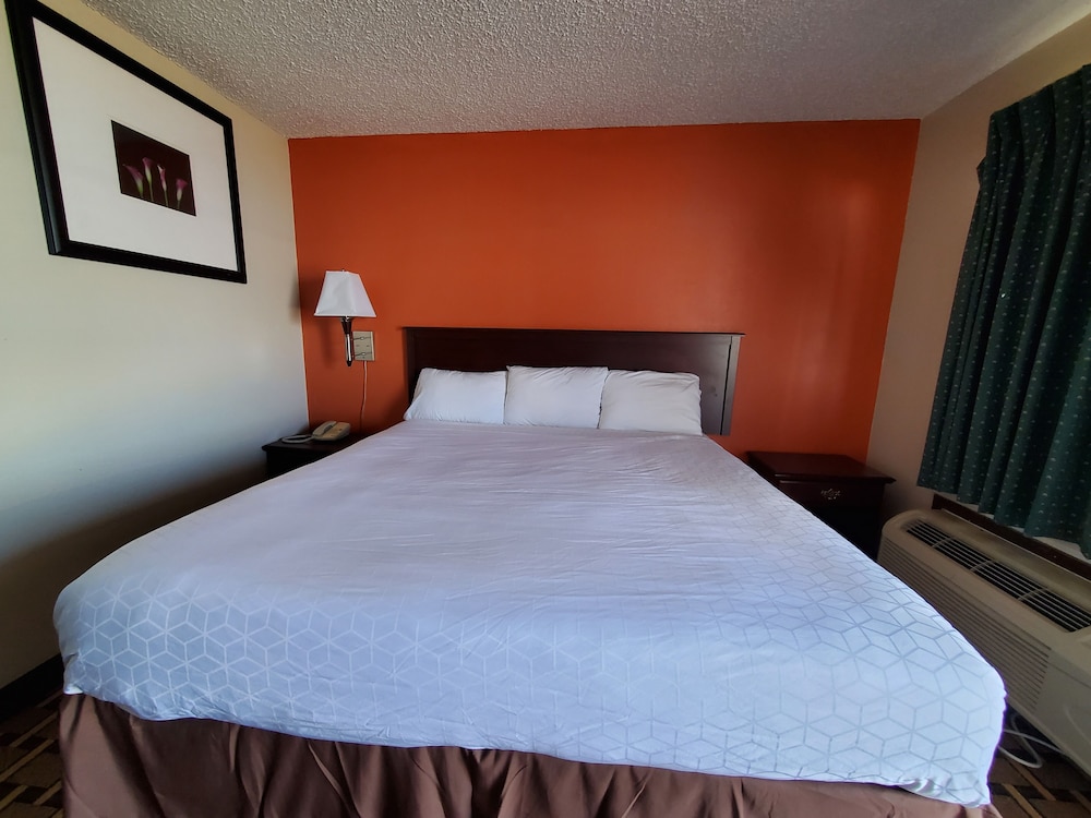 Comfort Shared Dormitory, 1 King Bed, Non Smoking photo 2