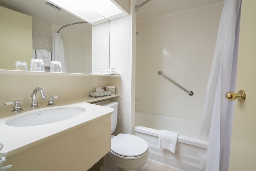 Suite, 1 Bedroom - Photo 3