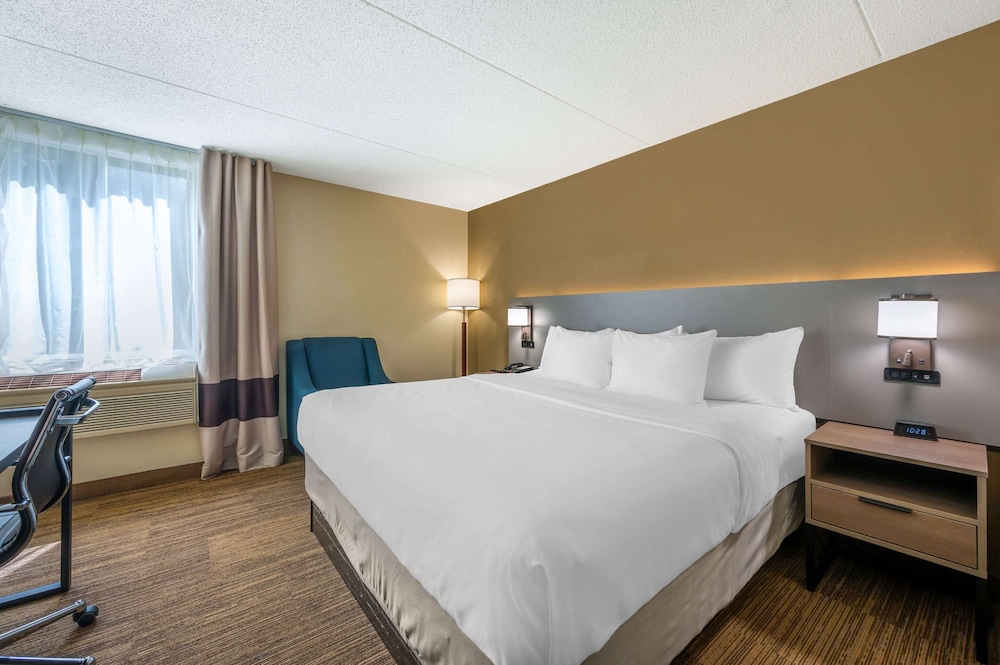 Suite, 1 King Bed with Sofa bed, Accessible, Non Smoking (Efficiency) - Photo 1