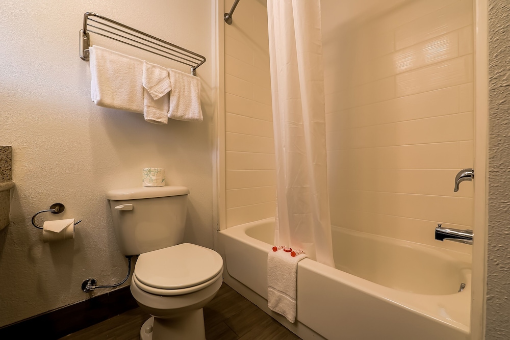 Room, 1 Queen Bed - Photo 8