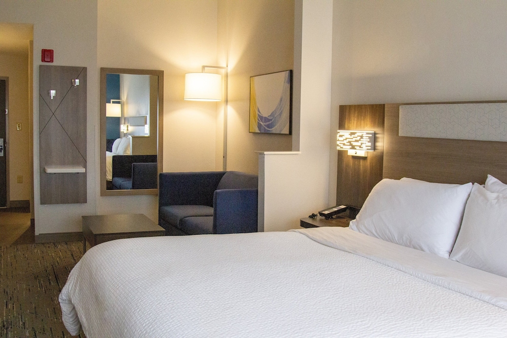 Suite, 1 King Bed - Photo 1