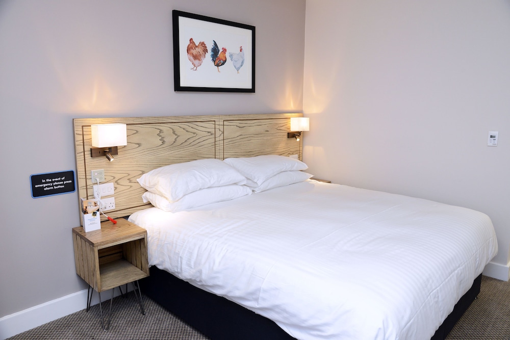 Double or Twin Room, Accessible - Photo 1