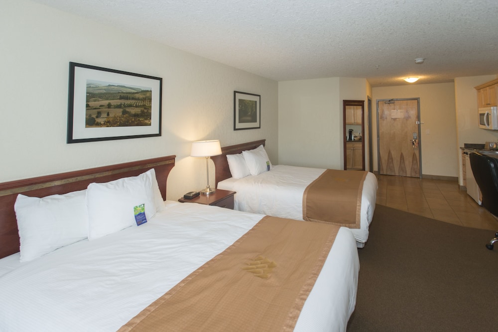 Deluxe Double Room, 2 Queen Beds, Kitchenette photo 3