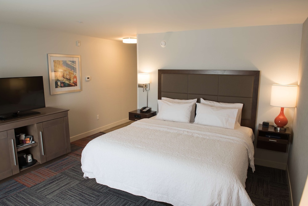 Room, 1 King Bed, Accessible, Non Smoking (w/ roll-in shower) photo 1