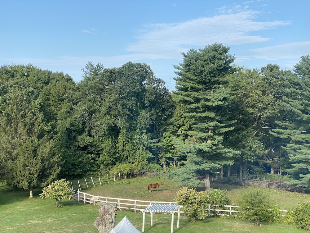 The Family cottage (The rustic cottage on 9 Acres) photo 1
