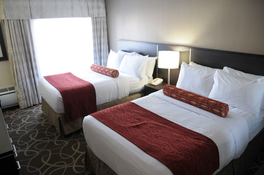 Room, 2 Double Beds photo 1