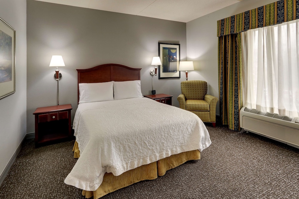 Room, 1 Queen Bed, Accessible (Mobility, Roll-in Shower) - Photo 4