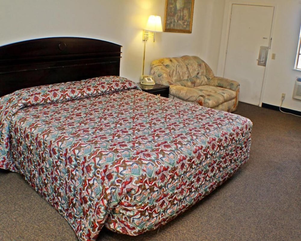 Single Room photo 3