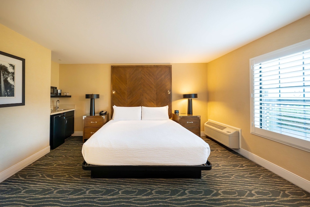 Standard Room, 1 King Bed, Non Smoking (Upstairs or Second Floor) - Photo 5
