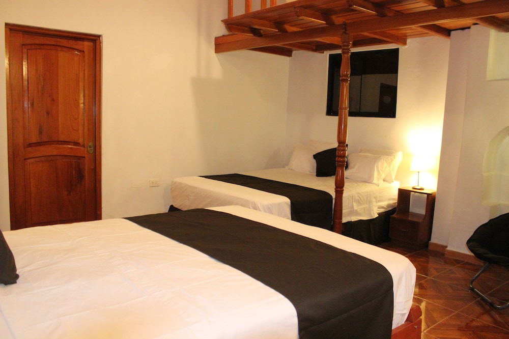 Twin Room photo 3