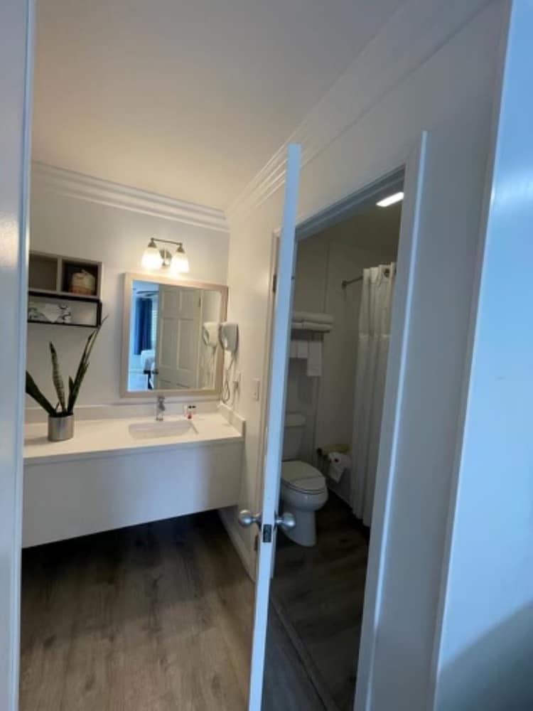 Room, 1 King Bed, Accessible, Non Smoking (Mobility/Hearing, Roll-In Shower) - Photo 4