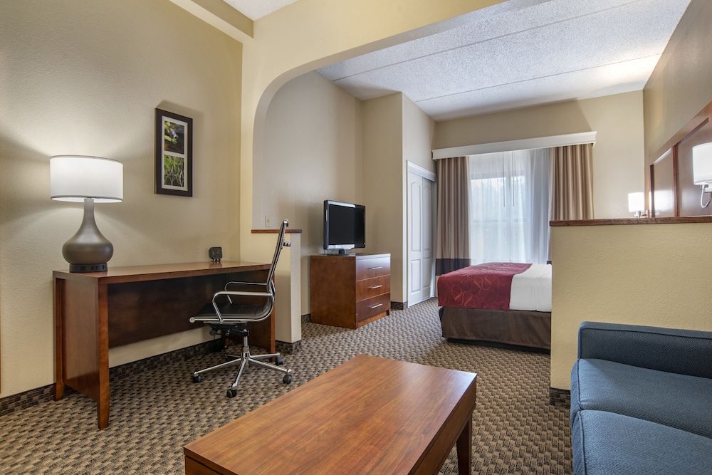 Suite, 1 King Bed with Sofa bed, Non Smoking (Pet Friendly)