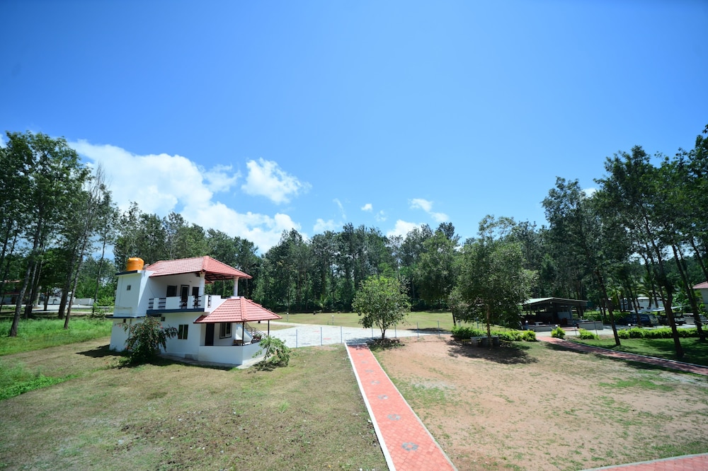Economy Shared Dormitory photo 3