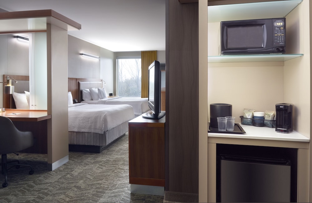 Suite, Multiple Beds - Photo 3