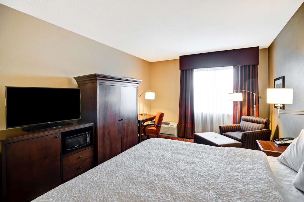Room, 1 King Bed, Accessible, Non Smoking (Roll-in Shower) - Photo 1