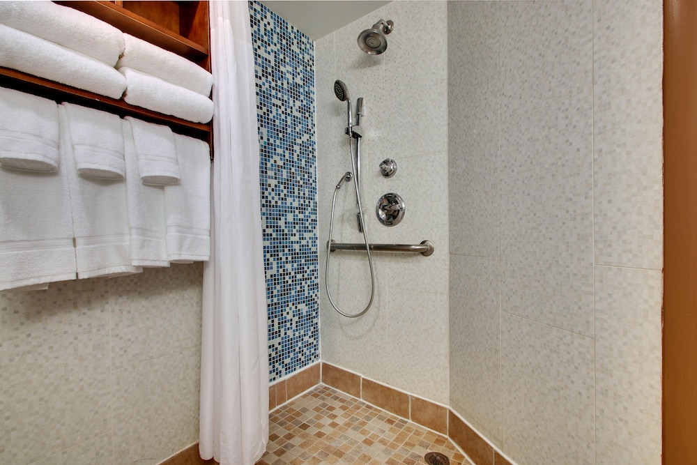 Room, 1 King Bed, Accessible (Comms Accessible. Roll-In Shower) photo 3