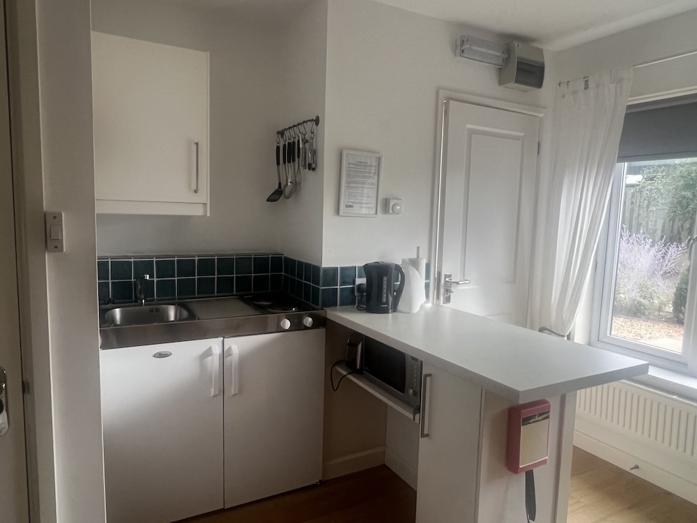 Business Studio, 1 Double Bed, Garden View (One ) photo 2