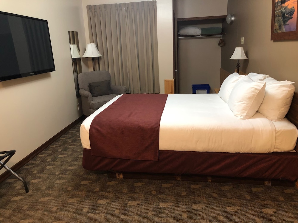 Deluxe Suite, 1 Queen Bed (Bachelor Suite) photo 1