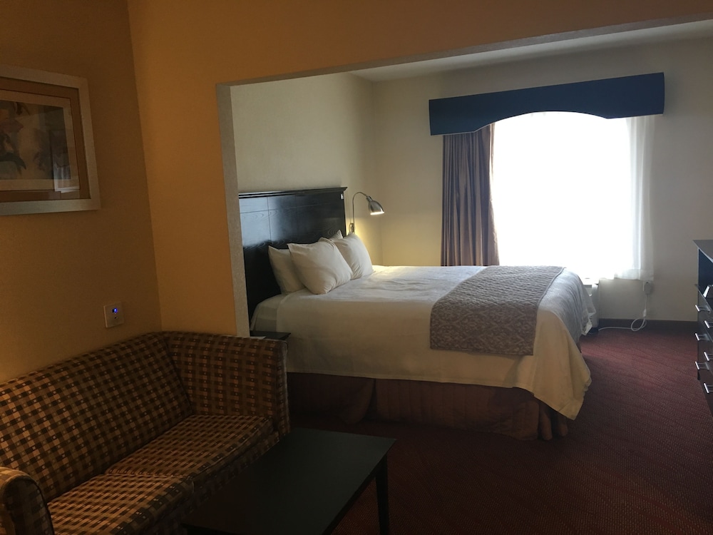 Suite, 1 King Bed, Accessible, Bathtub (with Sofabed) photo 1
