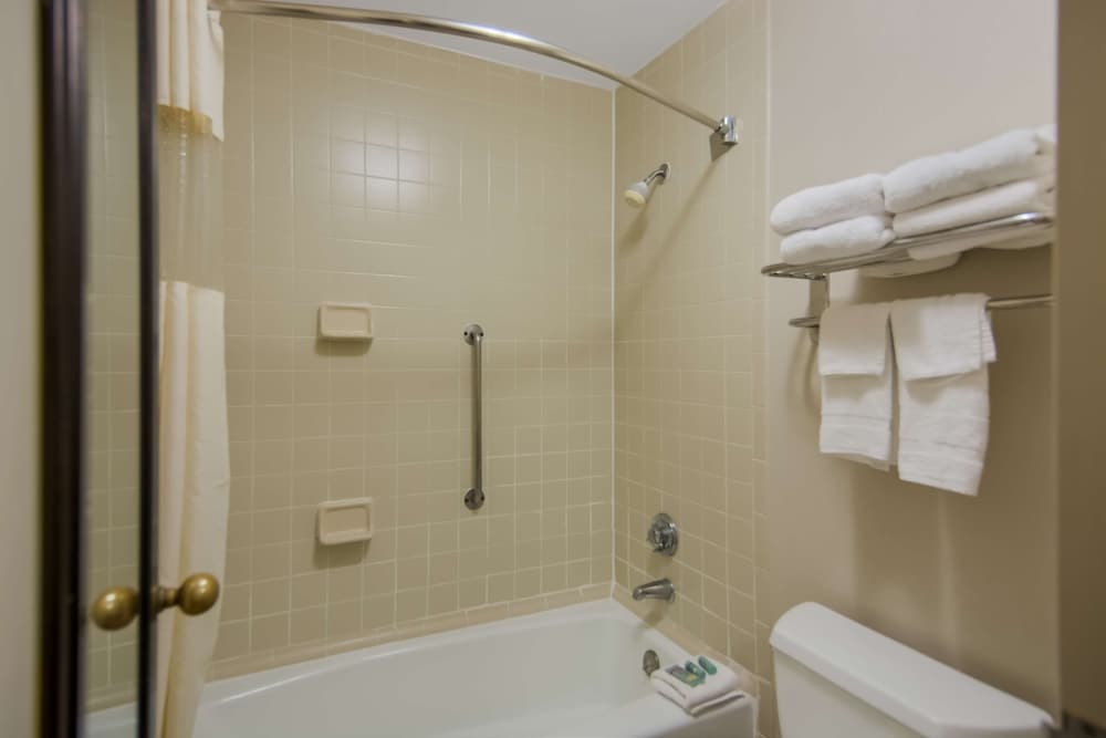 Standard Room, 1 Queen Bed, Smoking, Refrigerator & Microwave photo 3