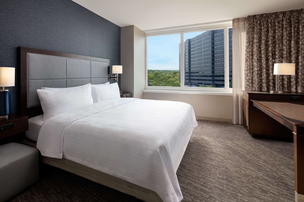 Suite, 1 King Bed, Accessible, City View (Bathtub) photo 3