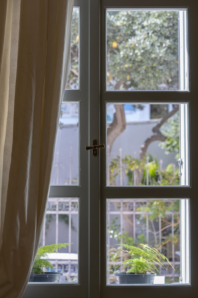 Suite - Photo 2