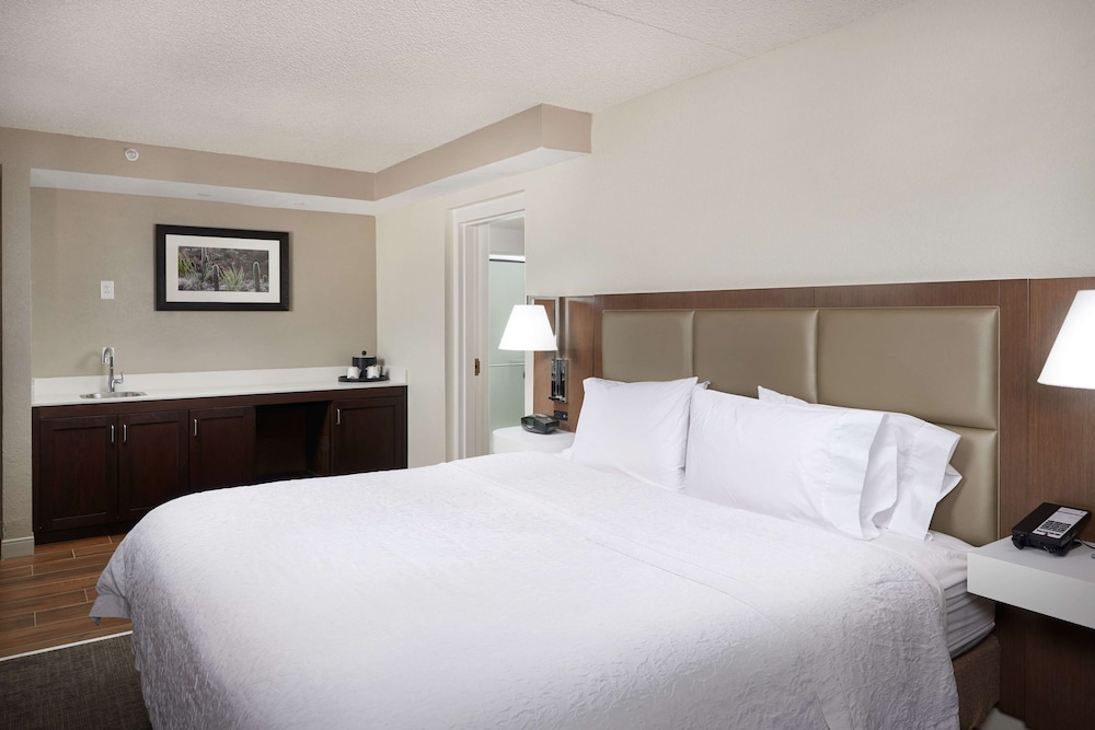 Suite, 1 King Bed, Non Smoking photo 1