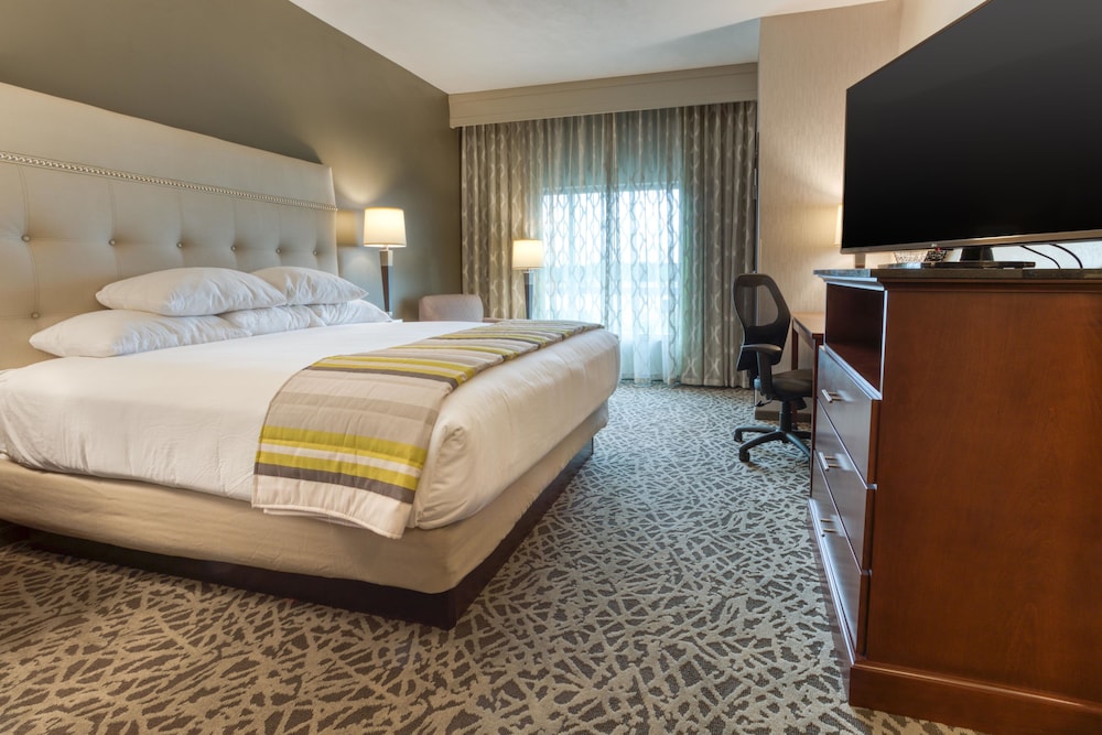 Suite, 1 King Bed with Sofa bed, Refrigerator & Microwave (2 Rooms, Upper Floor) photo 3