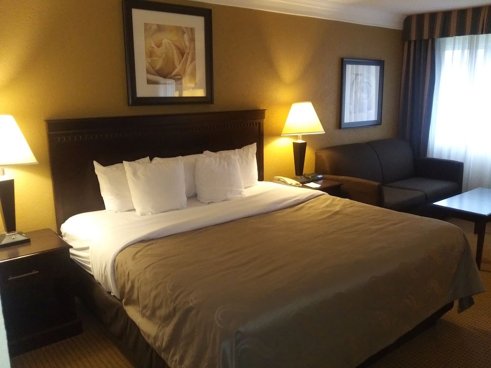 Standard Room, 1 King Bed with Sofa bed, Non Smoking photo 3