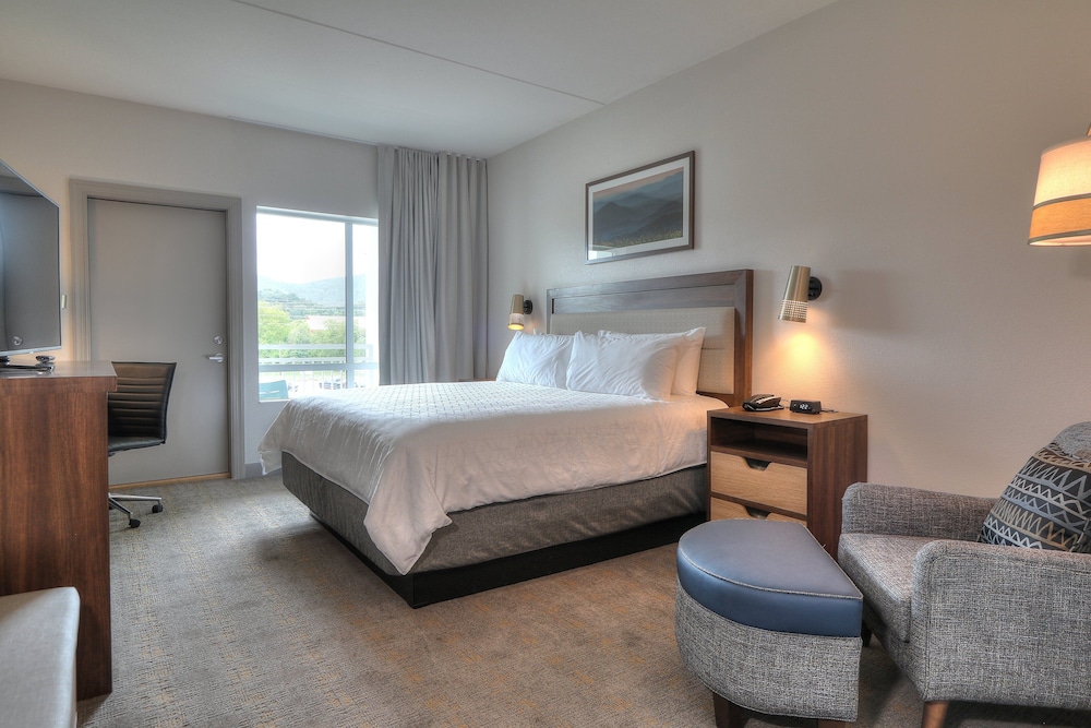 Premium Room, 1 King Bed, Balcony (Parkway View) - Photo 6