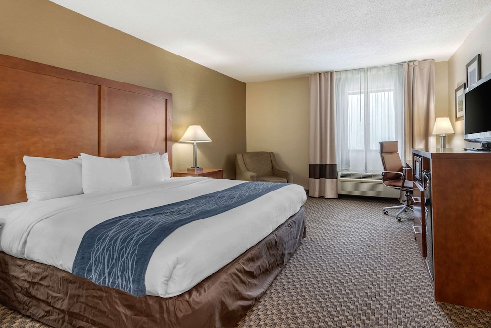 Standard Room, 1 King Bed, Non Smoking - Photo 1