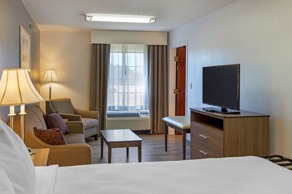 Suite, Multiple Beds, Non Smoking, Refrigerator & Microwave (with Sofabed) - Photo 4