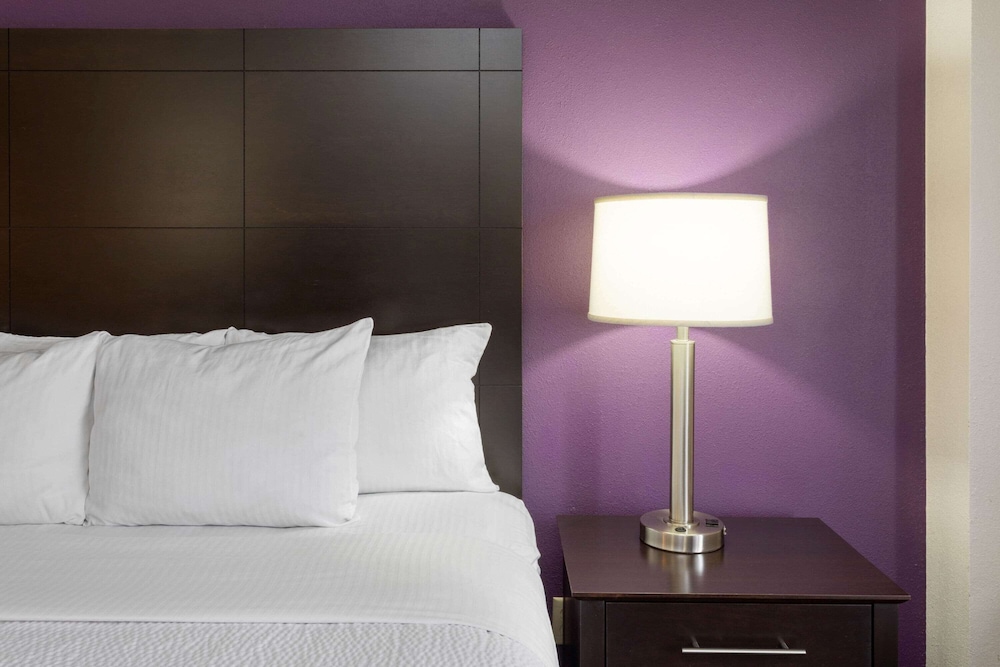 Deluxe Suite, 1 King Bed, Non Smoking (Deluxe Family Suite), photo 6