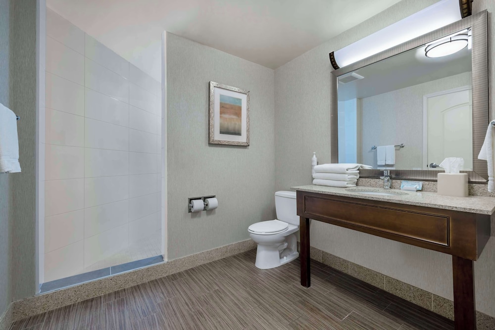 Room, 1 King Bed, Accessible - Photo 9