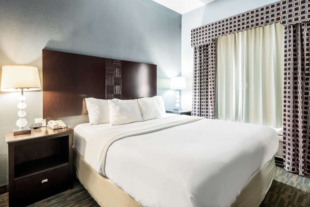 Standard Suite, 1 King Bed, Accessible, Non Smoking - Photo 4