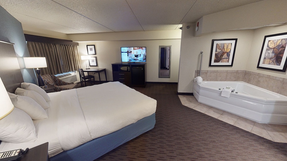 Premier Suite, 1 King Bed, Non Smoking (One-Bedroom Suite) - Photo 12