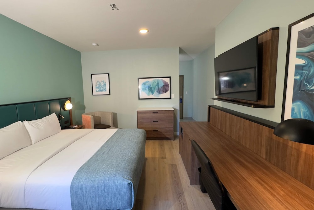 Room, 1 King Bed, Non Smoking - Photo 9