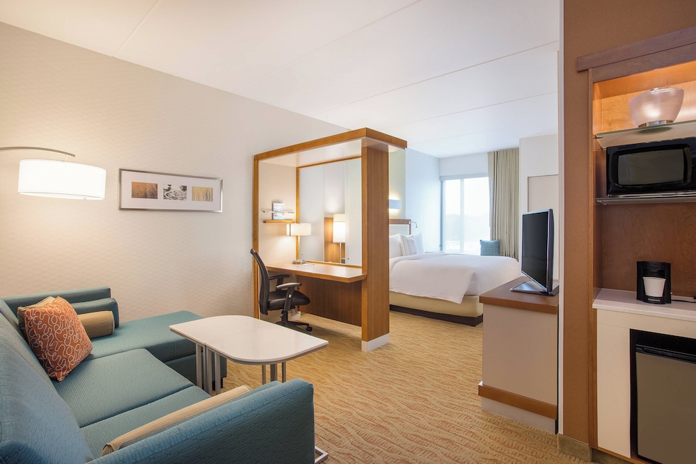 Suite, 1 King Bed with Sofa bed