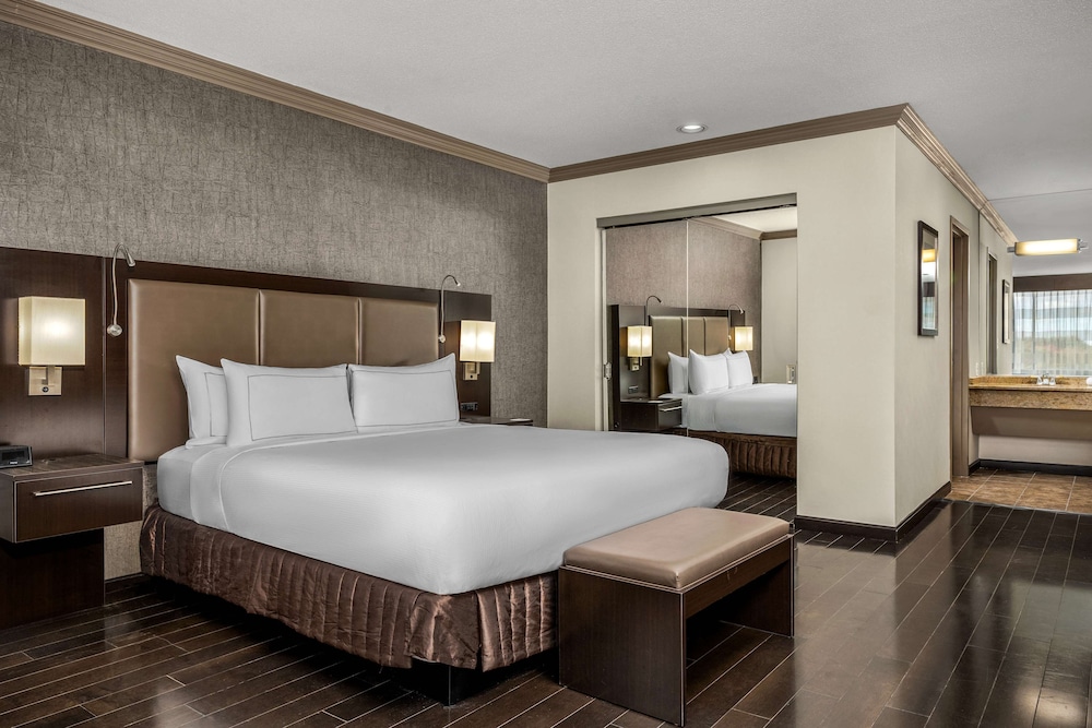 Studio Suite, 1 King Bed (Sweet) photo 2