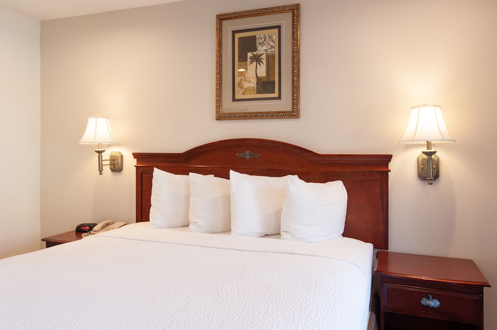 Deluxe Suite, 1 King Bed, Kitchen photo 2