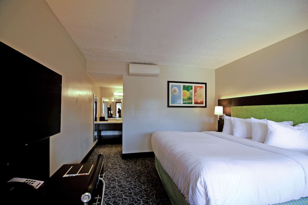 Standard Room, 1 King Bed, Non Smoking - Photo 15