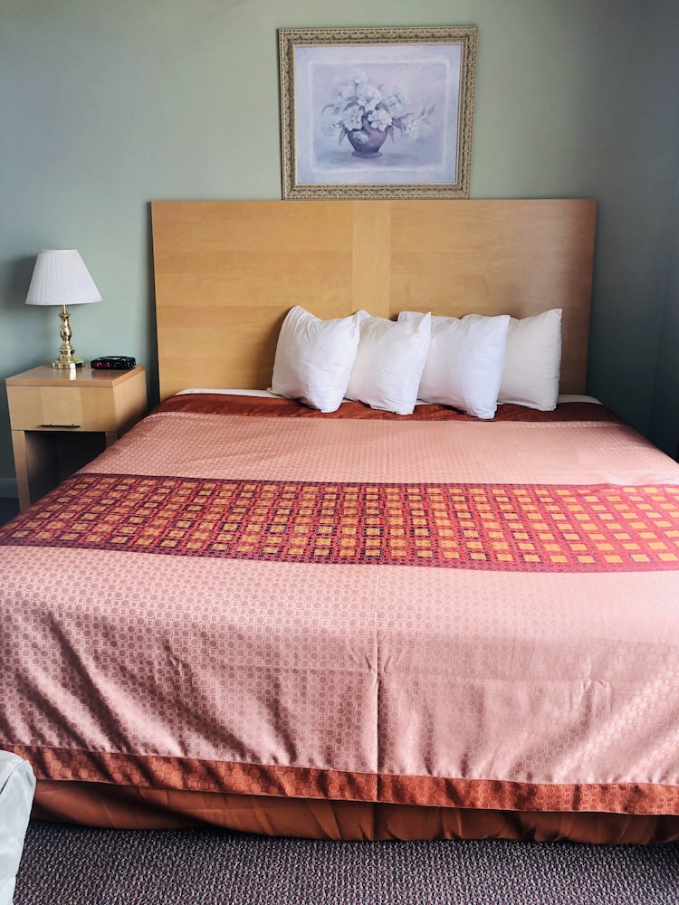 Standard Studio Suite, 1 King Bed with Sofa bed, Non Smoking, Kitchen photo 2