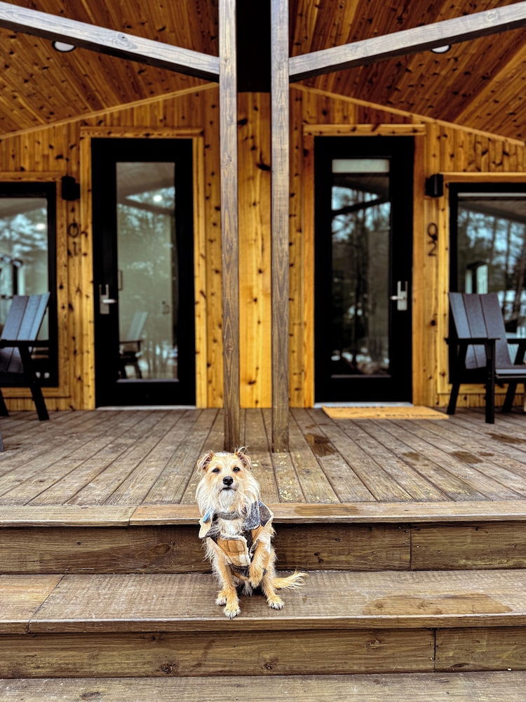 Cabin (Full) - Photo 3