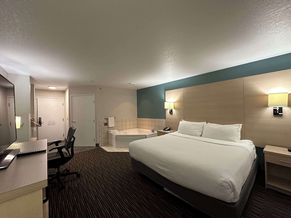 Standard Room, 1 King Bed, Accessible, Jetted Tub photo 1