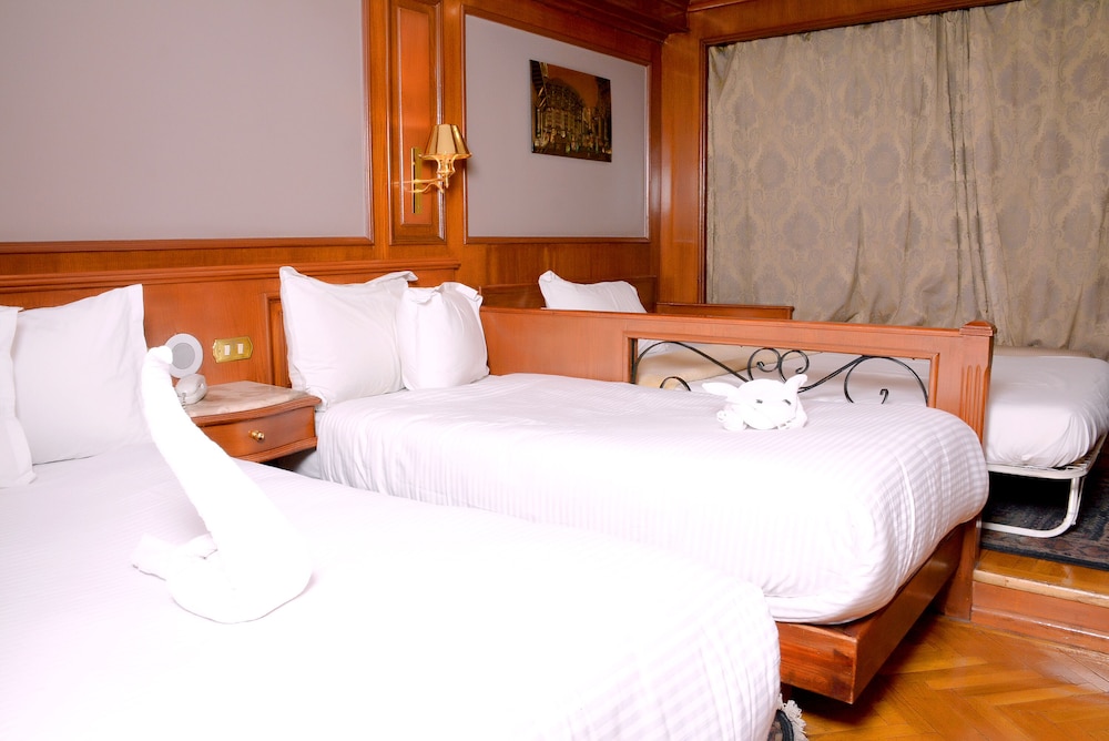 Deluxe Single Room photo 3