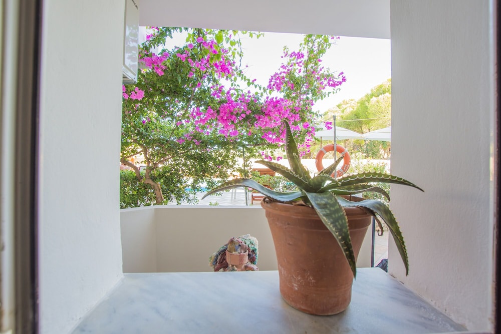 Family Apartment, Pool View, Ground Floor - Photo 6