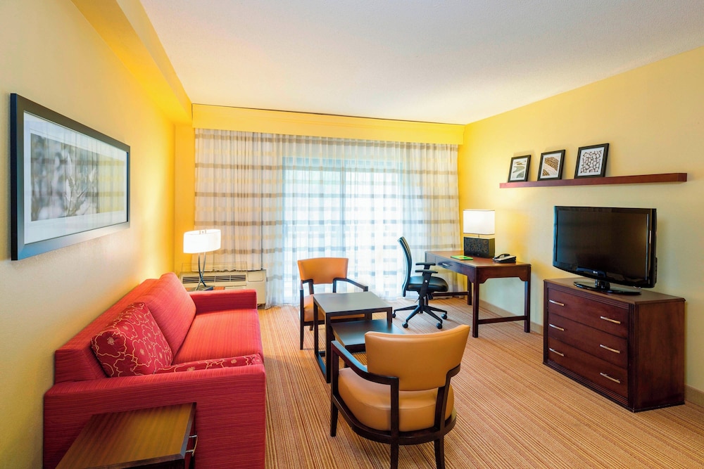 Suite, 1 King Bed with Sofa bed (Hearing Accessible)
