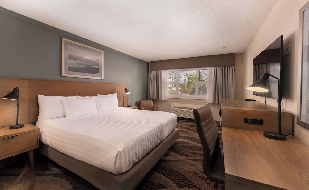 Standard Room, 1 King Bed, Non Smoking (Pet Friendly;with Sofabed) photo 1