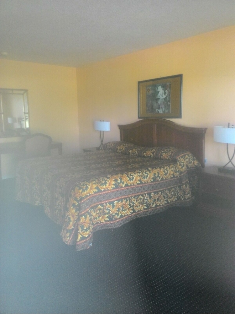 Room, 1 King Bed, Smoking photo 1